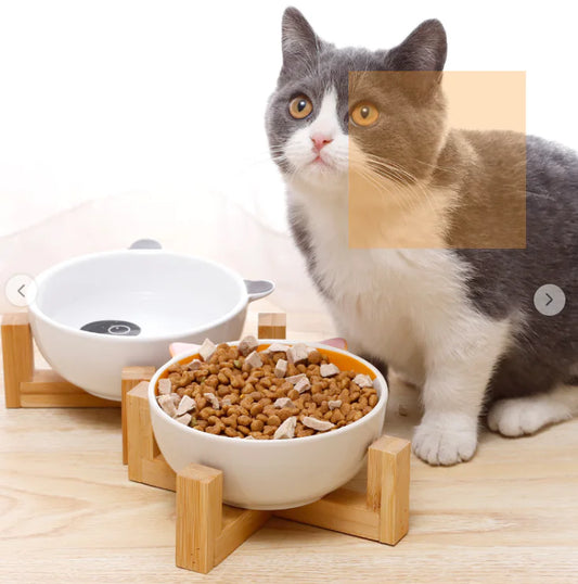 Ceramic Pet Bowl